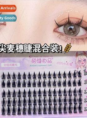 Maiko False Eyelashes 4 Rows Fairy Tatoo-Q09 Mixed Already C