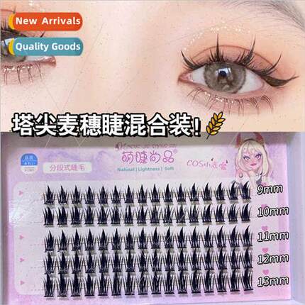 Maiko False Eyelashes 4 Rows Fairy Tatoo-Q09 Mixed Already C