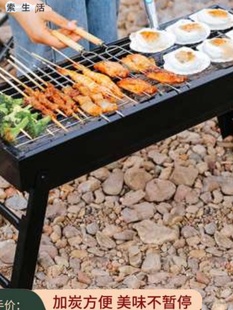 碳烤肉木炭专用全套烧烤架子 烧烤架家用烧烤炉户外架网折叠便携式