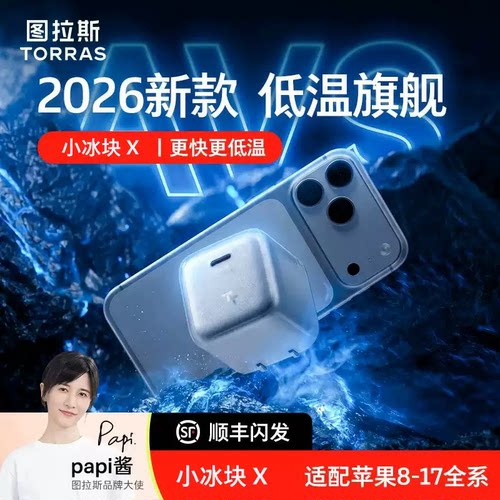 图拉斯小冰块X充电器60W适用苹果17ProMax头iPhone17快充16低温18快充MK