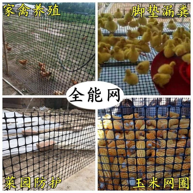 养鸡网围栏栅栏塑料网户外家用果园养殖鱼塘防护网钢丝网圈玉米网
