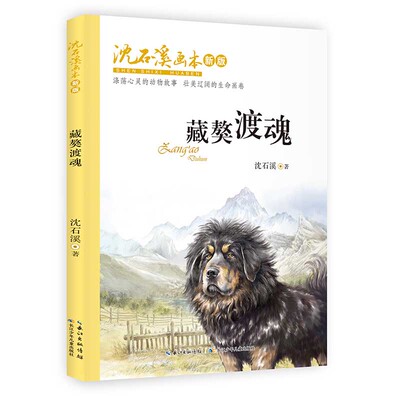 正版 藏獒渡魂 沈石溪 长江少年儿童出版社 9787556091096 Y库
