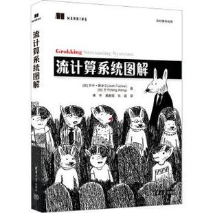 社 R库 乔什·费舍尔 加 王宁著 Fischer 美 Josh 9787302634652 正版 清华大学出版 流计算系统图解