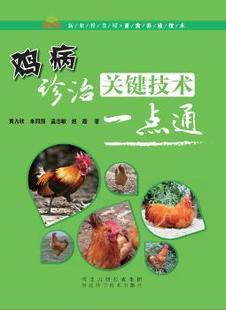 正版 鸡病诊治关键技术一点通 黄占欣，米同国，孟志敏，赵霞 河北科技出版社 9787537582780 R库