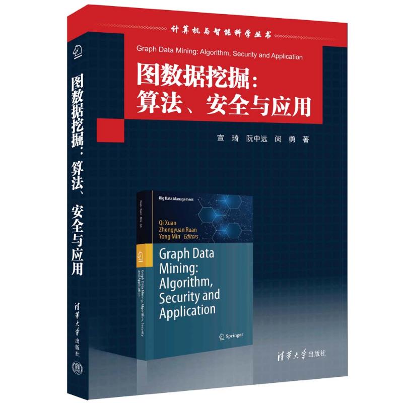 正版 图数据挖掘：算法、安全与应用 宣琦、阮中远、闵勇 著 清华大学出版社 9787302637141 Y库