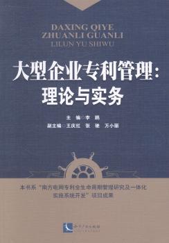 正版 大型企业专利管理:理论与实务 主编 知识产权出版社 9787513023764 R库