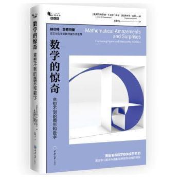 正版 数学的惊奇:意想不到的图形和数字:fascinating figures and noteworthy numbers