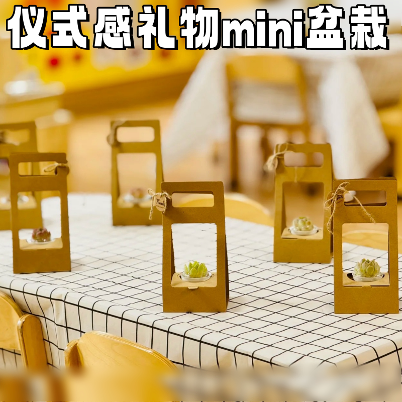 感恩节主题活动仪式感伴手礼mini多肉盆栽幼儿园小礼物手提花盒