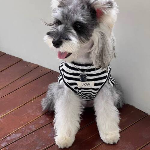 夏季条纹背心小中型犬可爱宠物雪纳瑞约克夏泰迪衣服薄款透气衣服
