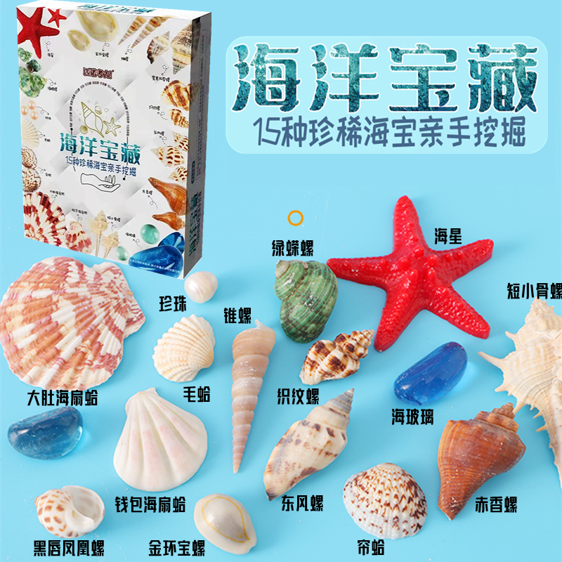 海洋宝藏文创盲盒儿童挖掘玩具海滩天然贝壳海螺海星小女孩挖宝石