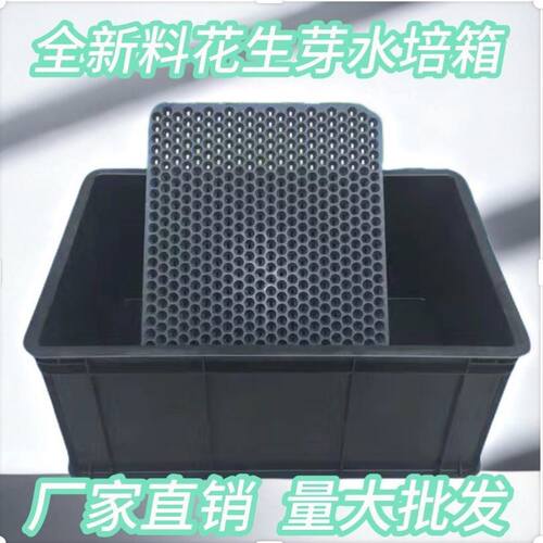 全套塑料花生芽网格发芽盆商用种植育苗盘撒播圆孔穴盘黑色水培箱