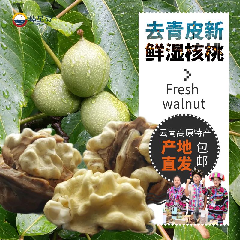 【云南高山新鲜湿核桃】现摘去青皮鲜核桃 自然成熟 应季零食推荐