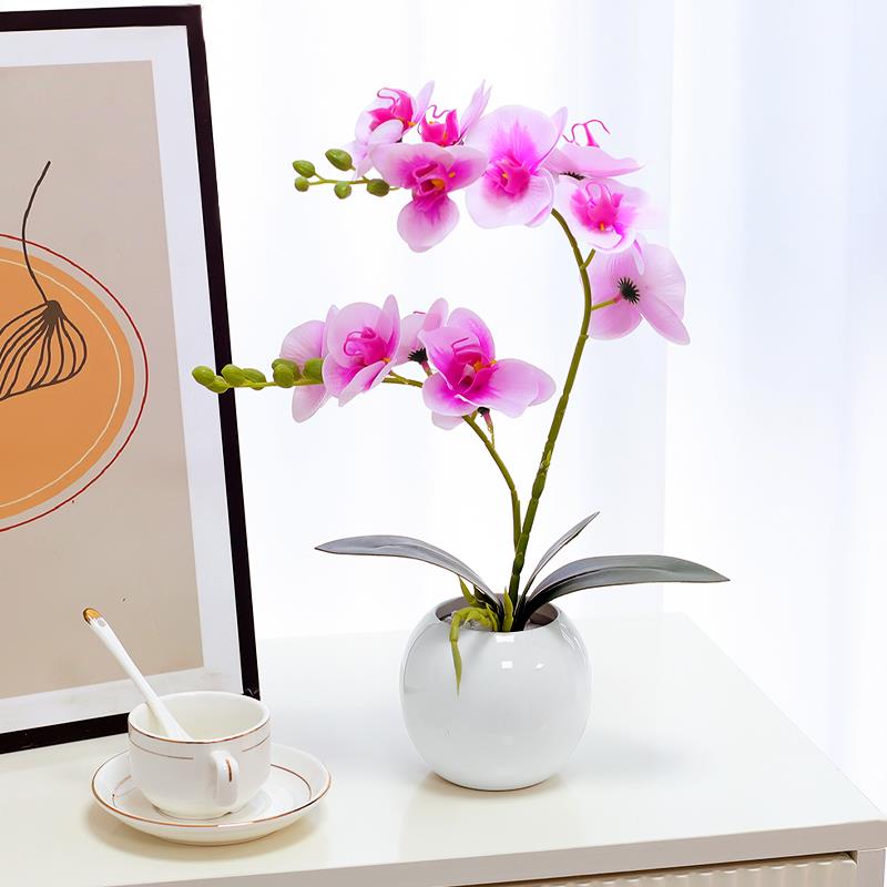 ins风仿真花手感蝴蝶兰客厅桌面摆件餐厅玄关摆设假花小盆栽装饰