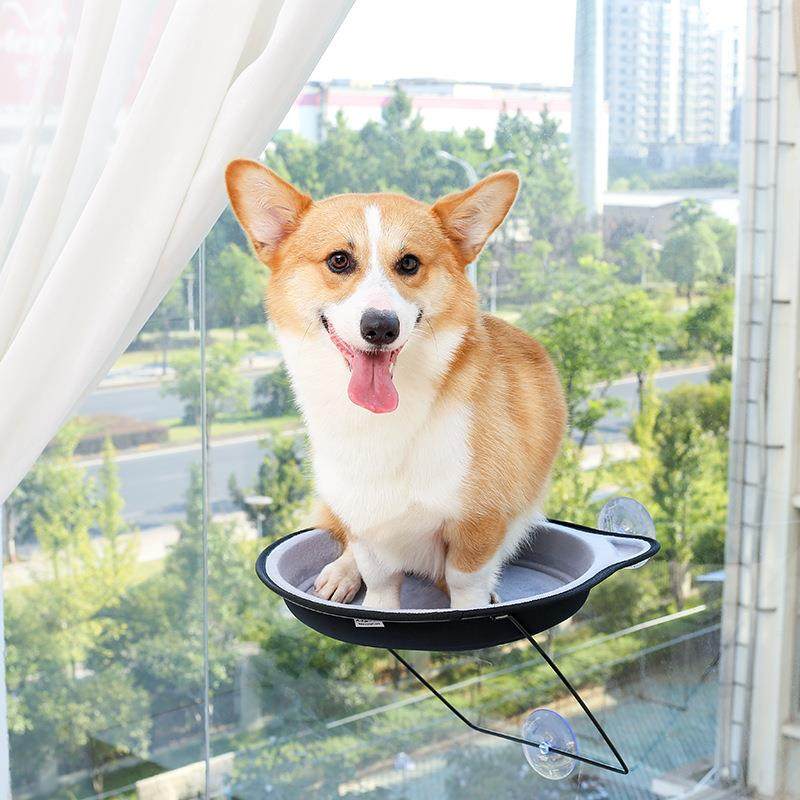 厂家 EVA猫咪猫吊床吸盘窗台窝圆形猫窝晒太阳猫床宠物窝,宠物/宠物食品及用品,猫窝/屋/帐篷/沙发,淘宝优惠券,粉丝福利购,淘宝优惠卷