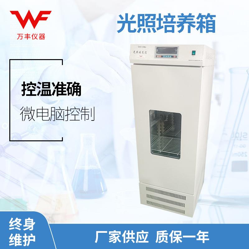 供应智能光照培养箱 数显光照培养箱 恒温培养箱 微生物恒温箱