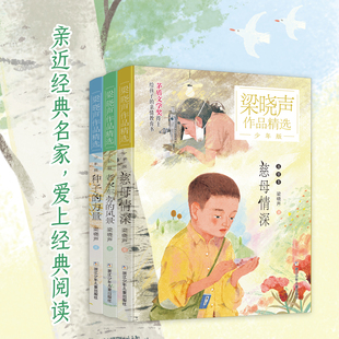 风景种子 正版 全3册慈母情深老水车旁 梁晓声作品集精选少年版 力量儿童文学作品茅盾文学家给孩子亲情教育书儿童阅读 3册价