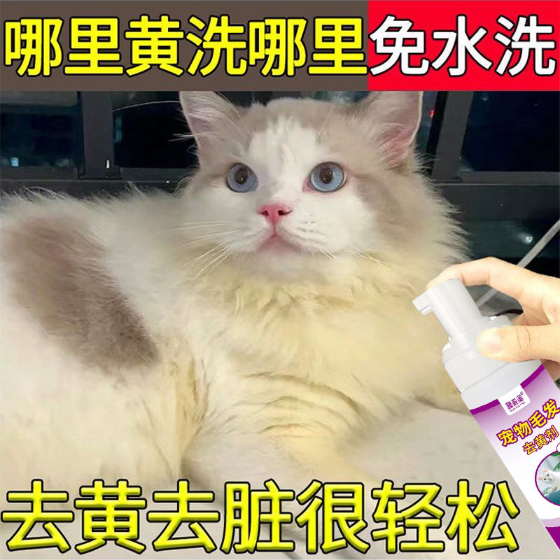 猫咪免水洗喷雾干洗护理去黄去污不伤毛发留香幼猫小猫狗狗清洁剂