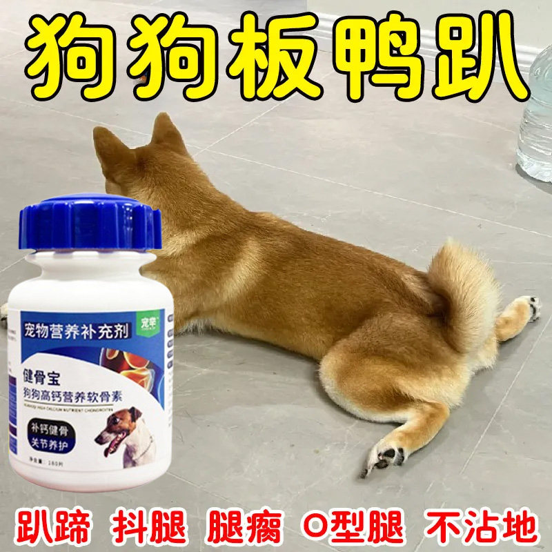 狗狗没精神站不稳一直趴着的钙片宠物无精打采养护关节专用软骨素