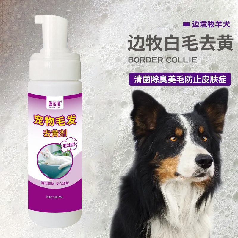 边牧白色毛发去黄黑色毛发清洁去污专用清洗剂狗狗去黄沐浴露神器
