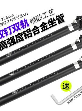 Lebycle山地车坐管27.2 31.6双钉后飘坐杆通用自行车座管杆坐垫杆