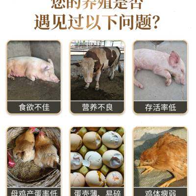 华畜兽用小苏打粉饲料添加剂碳酸氢钠养殖用猪牛羊禽用饲料大包装