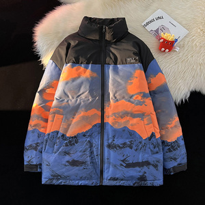 毛毯平铺A雪山印花登山户外冲锋衣羽绒棉衣A005A-M8066-P115控148图片