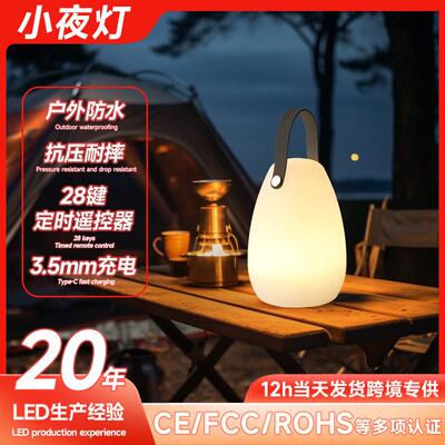 新款蛋形氛围手提灯充电遥控户外夜灯酒吧夜场手提桌灯露营帐篷灯