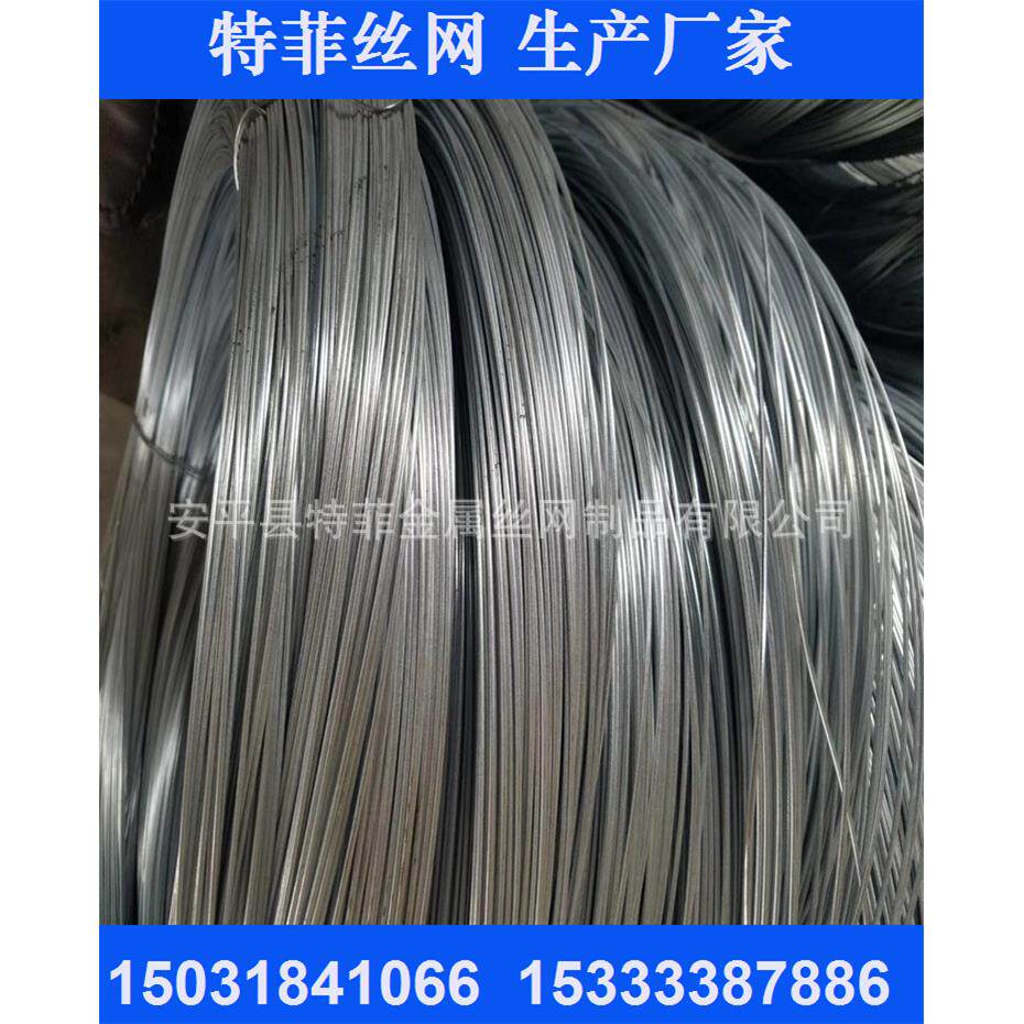 现货供应BWG8# 电镀锌铁丝 防汛铅丝 200千克左右自然卷过磅