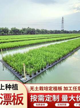eva水上种植泡沫浮床水培水稻浮板 鱼塘漂浮面板水培蔬菜定植泡棉