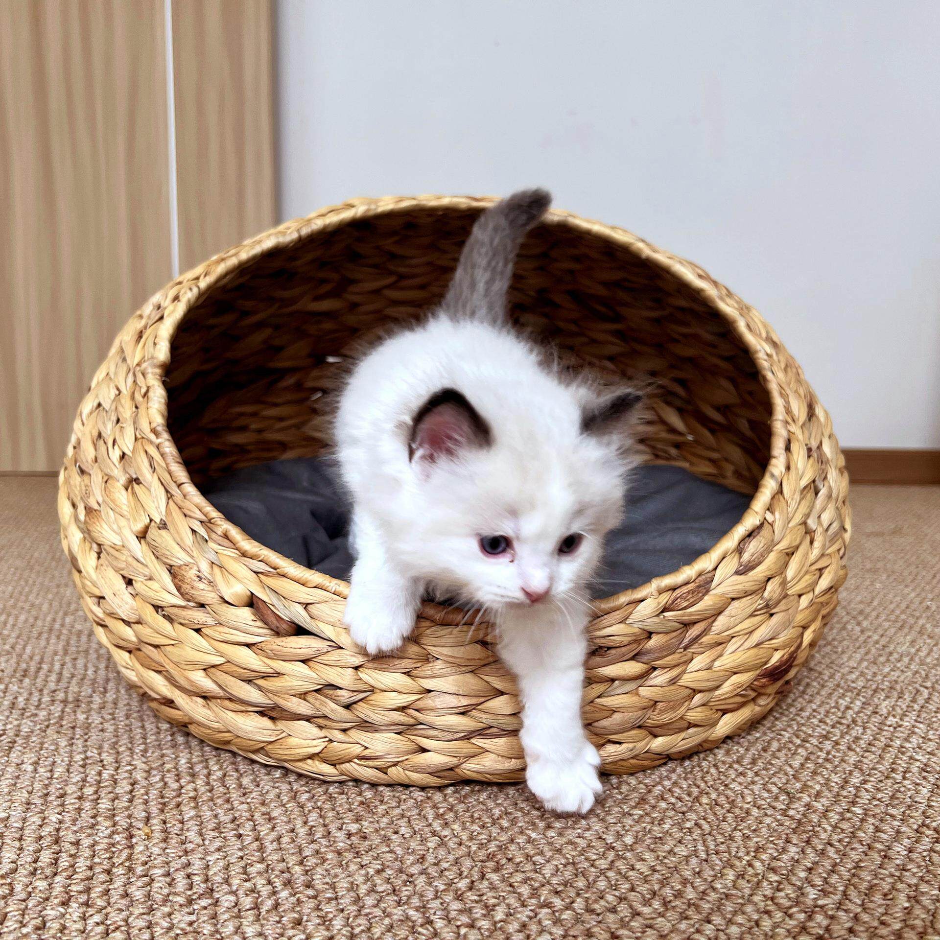 爆款冬季保暖水葫芦半封闭宠物窝藤编猫窝狗窝耐磨可水洗草编猫窝