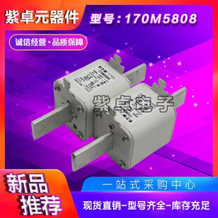 170M5742 170M5738 170M5741 170M5740 170M5743熔断器 170M5739