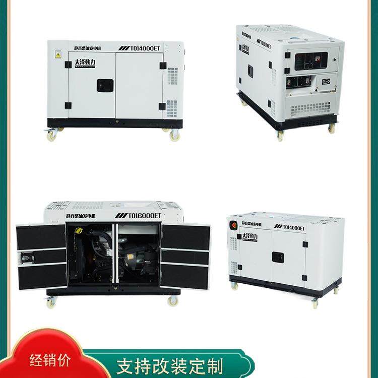 输出平稳大泽动力10千瓦静音柴油发电机 TO14000ET-S双缸风冷箱式