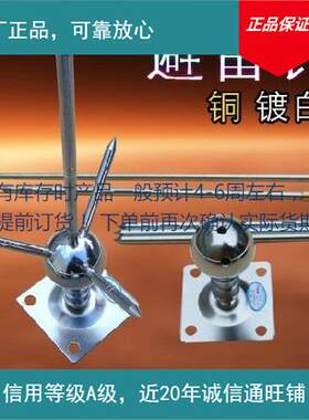 供应避雷针100厘米大号 家用针 别墅针 小区针 其他防雷电设备