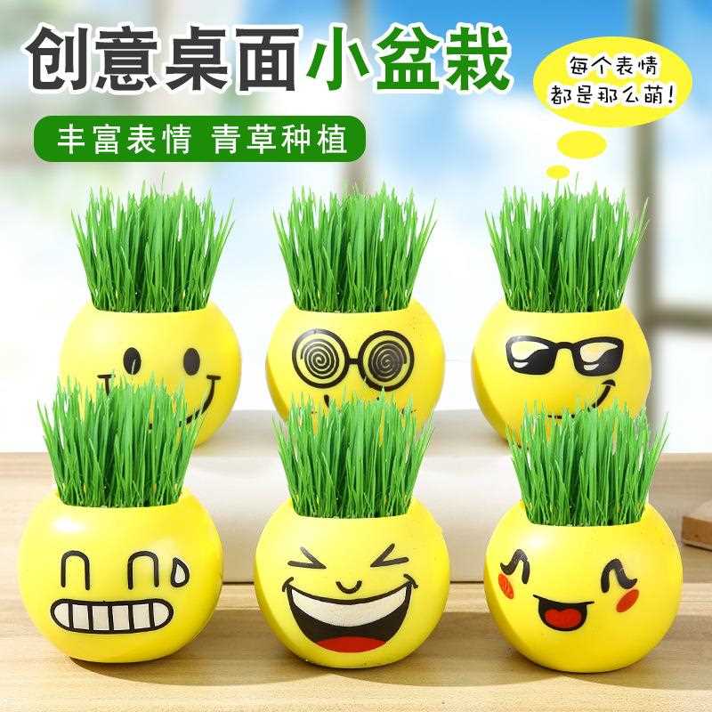 草娃娃办公室盆栽创意表情绿植炫酷表情草头娃娃迷你种植幼儿园
