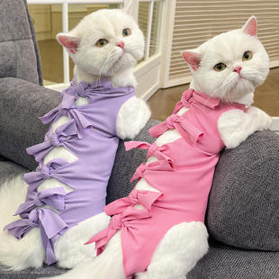 宠物猫咪手术后用药服断奶透气生理裤 防舔骚扰衣服用品绝育服