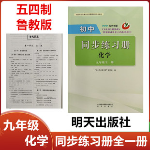 2025秋新版五四制鲁教版初中同步练习册化学九年级全一册明天出版社54制初四9九年级化学上册下册同步练习册全一册配鲁教版