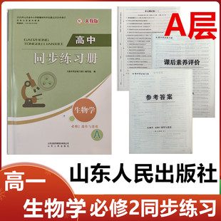 A层 社高一生物必修2二同步配套练习册配人教版 2025秋A层配人教版 高中同步练习册生物学必修2遗传与进化山东人民出版