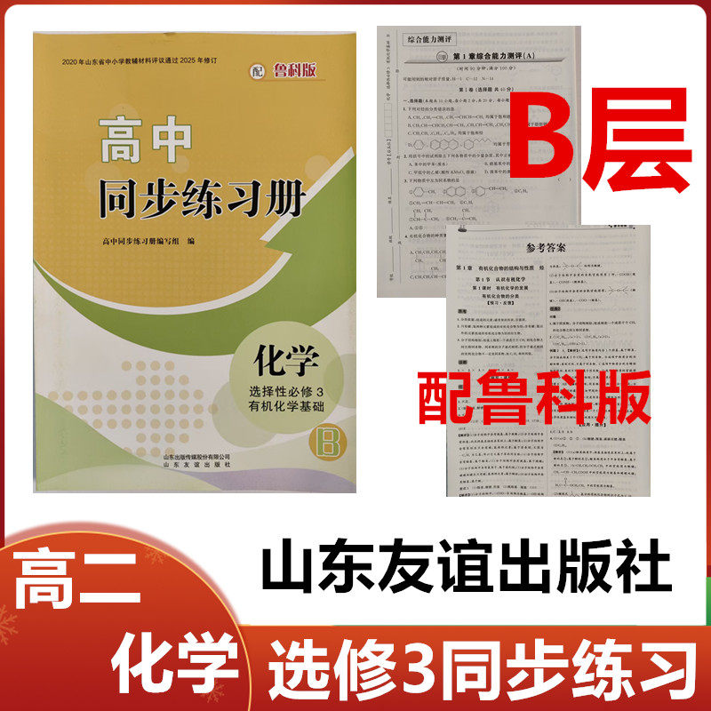 2025秋B层配鲁科版高中同步中学教辅