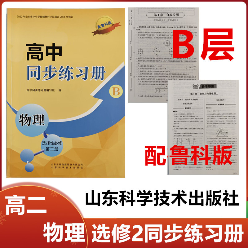 2025秋B层配鲁科版高中同步练习册物理选择性必修第二册山东科学技术出版社高二物理选修2二同步配套练习册配鲁科版B层级