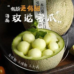 礼盒装海南玫珑瓜网纹蜜瓜哈密瓜新鲜水果当季甜瓜网纹瓜新鲜现摘