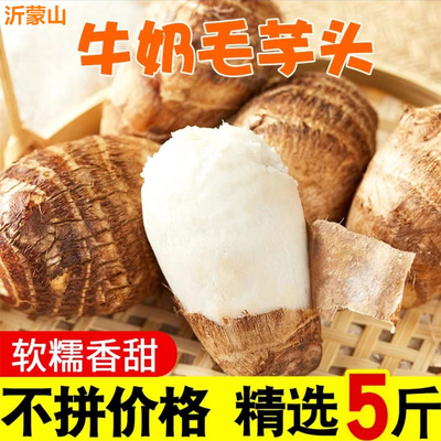 新货牛奶芋头蘸糖吃新鲜现挖软糯香滑小毛芋头5粉糯芋圆多仓批发