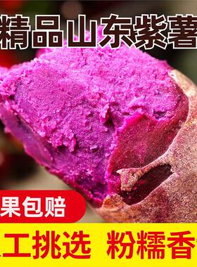 沙地紫薯粉糯香甜山东产地直发