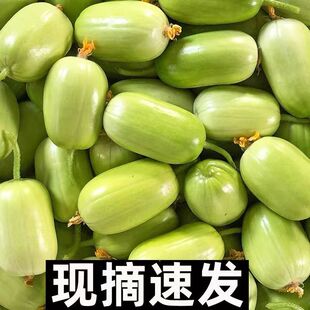 山东拇指水果黄瓜新鲜蔬菜水果小青瓜金童玉女黄瓜农家生吃5现摘