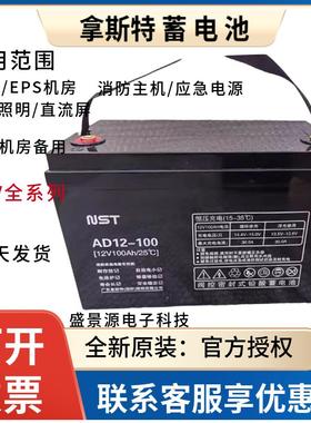 NST拿斯特蓄电池AD12-100 12V100AH18AH24AH38A65AH120AH消防主机