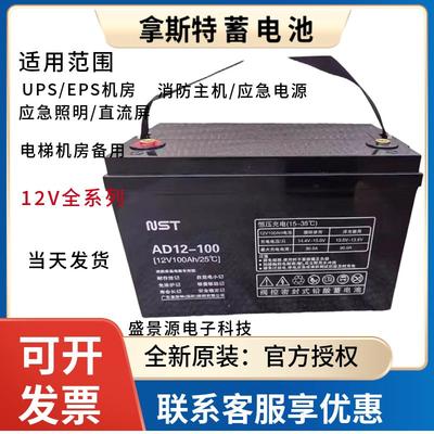 NST拿斯特蓄电池AD12-100 12V100AH18AH24AH38A65AH120AH消防主机