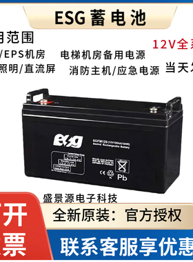 ESG蓄电池6GFM12V24AH40AH50AH65AH100AH120AH/EPS/UPS机房直流屏