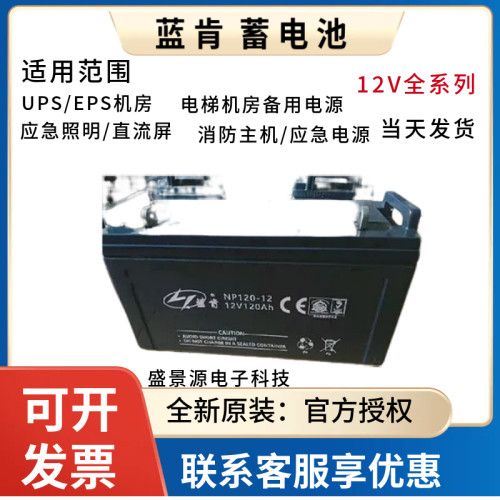 蓝肯蓄电池NP100-12 12V100A65A38A24A17A150A200AH UPS机房照明