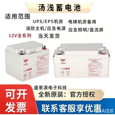 汤浅蓄电池NP100-12 12V100AH12V65AH12V120AH38AH24AH155AH200AH