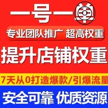 淘宝s店铺代运营天猫网店代营运上钻托管单人工专业推广平台团队/