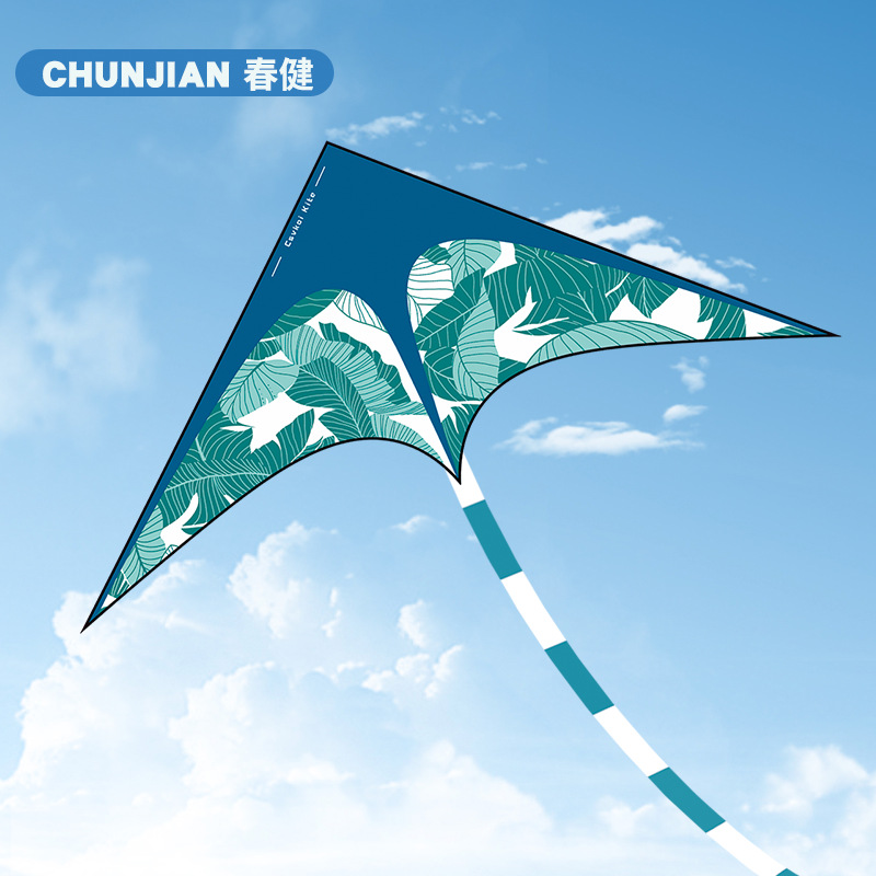 2025新款潍坊风筝大人专用高档草原涂色儿童微风易飞亲子活动大型